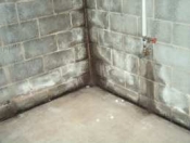 Basement Waterproofing